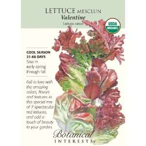  Lettuce Mesclun Valentine Certified Organic Seed: Patio 