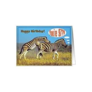  Happy 97th Birthday card,Two playing zebras Card: Toys 