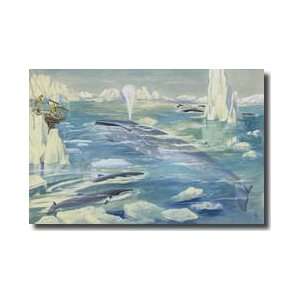  Blue Whale Swims With Minke Whales In The Arctic Giclee 