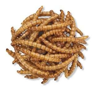  Duncraft Roasted Mealworms, 11200 Patio, Lawn & Garden