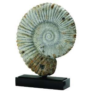  Arteriors Fossil Marble/Iron Shell Sculpture