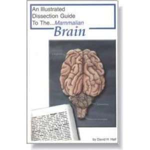 Mammalian Organ Dissection Guides Brain Dissection Guide  