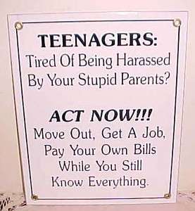 Teenagers Get a Job   Stupid Parents   Act Now Porcelain Sign  
