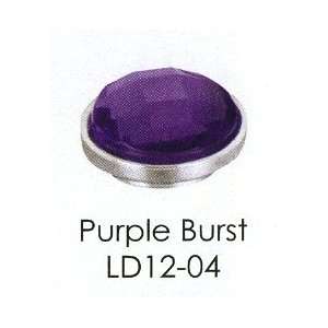  Lotti Dotties Purple Burst Dottie 