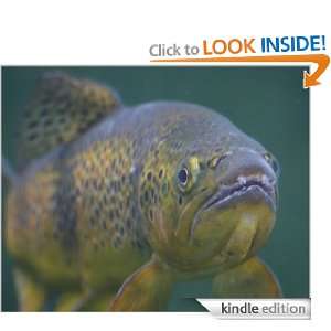  of How To Locate The Big Fish: Fisherman Jim:  Kindle Store