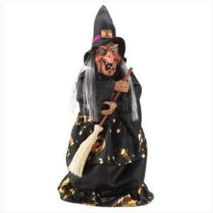 Animated Witch Figurine:  Home & Kitchen