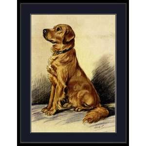  Picture Print Golden Retriever Puppy Dog Art: Everything 