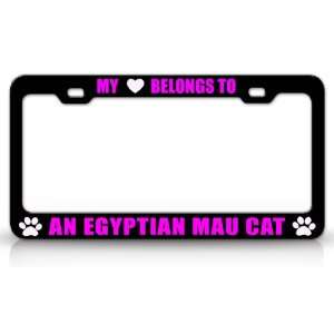MY HEART BELONGS TO AN EGYPTIAN MAU Cat Pet Auto License Plate Frame 