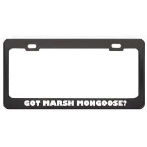  Got Marsh Mongoose? Animals Pets Black Metal License Plate 