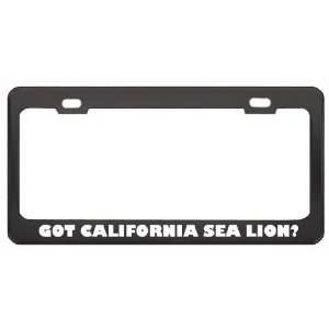 Got California Sea Lion? Animals Pets Black Metal License Plate Frame 