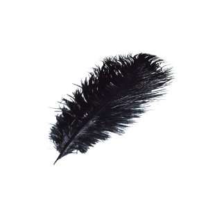  Artificial Ostrich Feather 15 Black Color Everything 