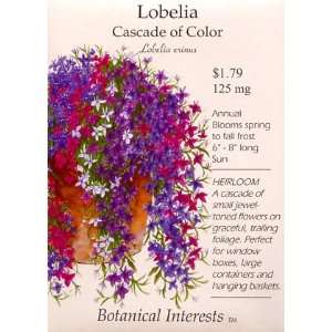  Lobelia Cascade of Color Heirloom Seeds 450 Seeds: Patio 