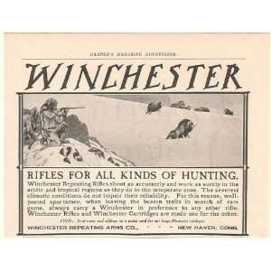  1905 Winchester Hunting Rifles Hunter Print Ad (52498 