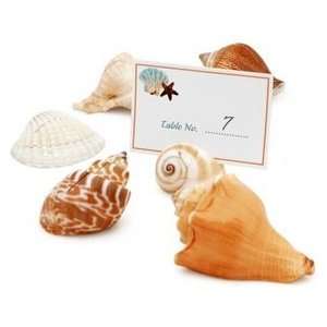  Seashell Placecard Holders (Set of 6)