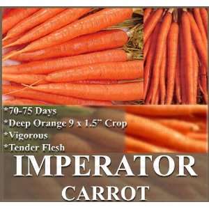  1 oz (14,000+) IMPERATOR 58 Carrot seeds Popular and 
