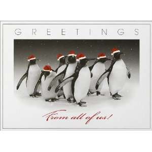  Penguins with Santa Hats   100 Cards 
