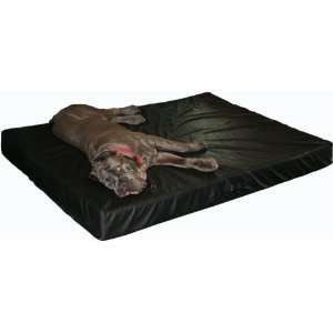   Grade Orthopedic Memory Foam Dog Bed   Buckskin, X Large: Pet Supplies