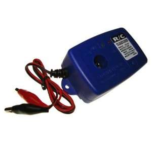    Racers Edge 12V Glow Starter Charger RCE10551: Car Electronics