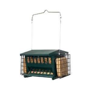 Mini Seeds N More Bird Feeder   Double Sided to Attract more Birds