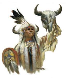 Legend of White buffalo Native American Hood Sweatshirt  