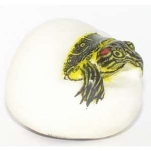  Turtle emerging from Egg ~ Tagua Carving