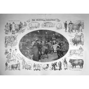    1907 SMITHFIELD CATTLE SHOW ANIMALS SHEEP PIGS COWS
