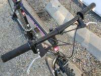Specialized Full Force Grand Canyon 19 mountain bike bicycle Steel 