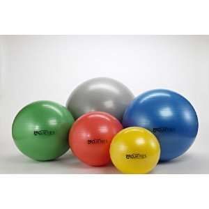   Exercise Balls   Pro Series SCP   85cm   Silver: Sports & Outdoors