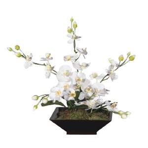   Artificial Potted White Orchid Silk Flower Arrangement: Home & Kitchen