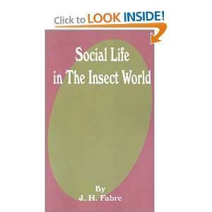  Social Life in the Insect World (9780898757170): Jean 