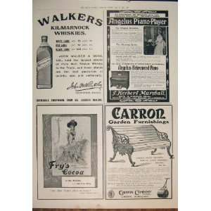   Advert WalkerS Piano Cocoa FryS Carron Garden 1906
