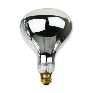   250 Watt, Medium Based, R40 Heat Lamp Bulb, Clear: Home Improvement