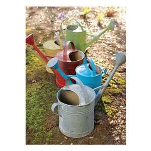  Vintage Watering Can   Galvanized Can Patio, Lawn 