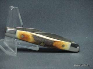 Case XX 2008 DAMASCUS Tiny Muskrat Knife India Stag #06059  