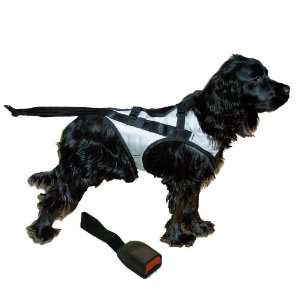   Harness With Adapter Combination, Grey and Black, Medium: Pet Supplies
