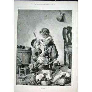  Feather Cap Rotta Child Birds Old Print 1893: Home 