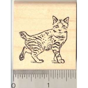  American Bobtail Cat Rubber Stamp Arts, Crafts & Sewing