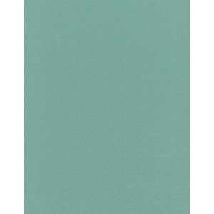  Solid & Bold Series 9808 Silverpine Vinyl Tablecloth 54 X 