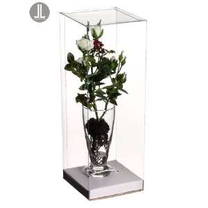  13.5 Mini Rose in Glass Vase w/Acetate Gift Box Two Tone 
