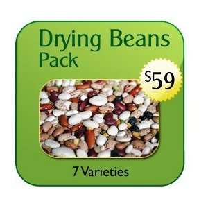  Drying Beans Pack   Non Hybrid Seeds Patio, Lawn & Garden