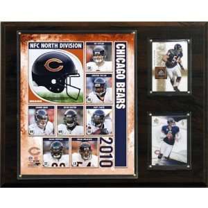  NFL Chicago Bears 2010 Team Plaque: Home & Kitchen