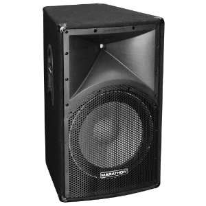   Series ENT 115 Single 15 Inch Two Way Loudspeaker Musical Instruments
