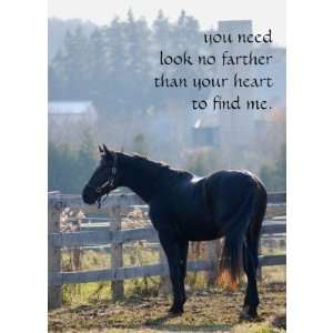    Pet Loss Sympathy Card for Horse Lovers