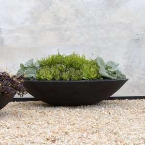  Zen Large Low Bowl Polyethylene Planters in Black: Patio 