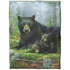 Northwest Hautman Bros   Nap Time Bears Royal Plush Raschel Blanket 