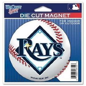 Tampa Bay Rays Set of 2 Indoor / Outdoor Magnets *SALE*:  