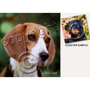  Beagle Dog Drink Coasters