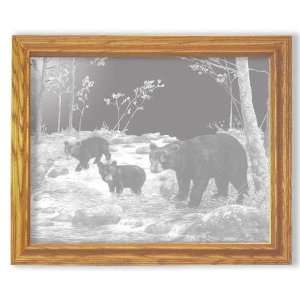 Bear Feet in the Creek Rectangle Etched Mirror