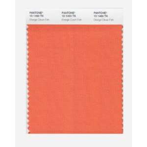  Pantone 15 1460 Nylon Brights Color Swatch Card