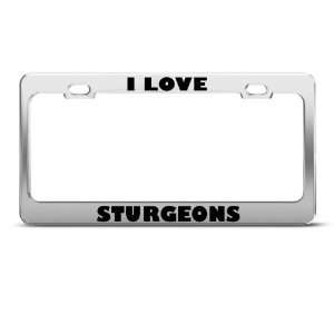 Love Sturgeons Sturgeon Fish License Plate Frame Stainless Metal Tag 